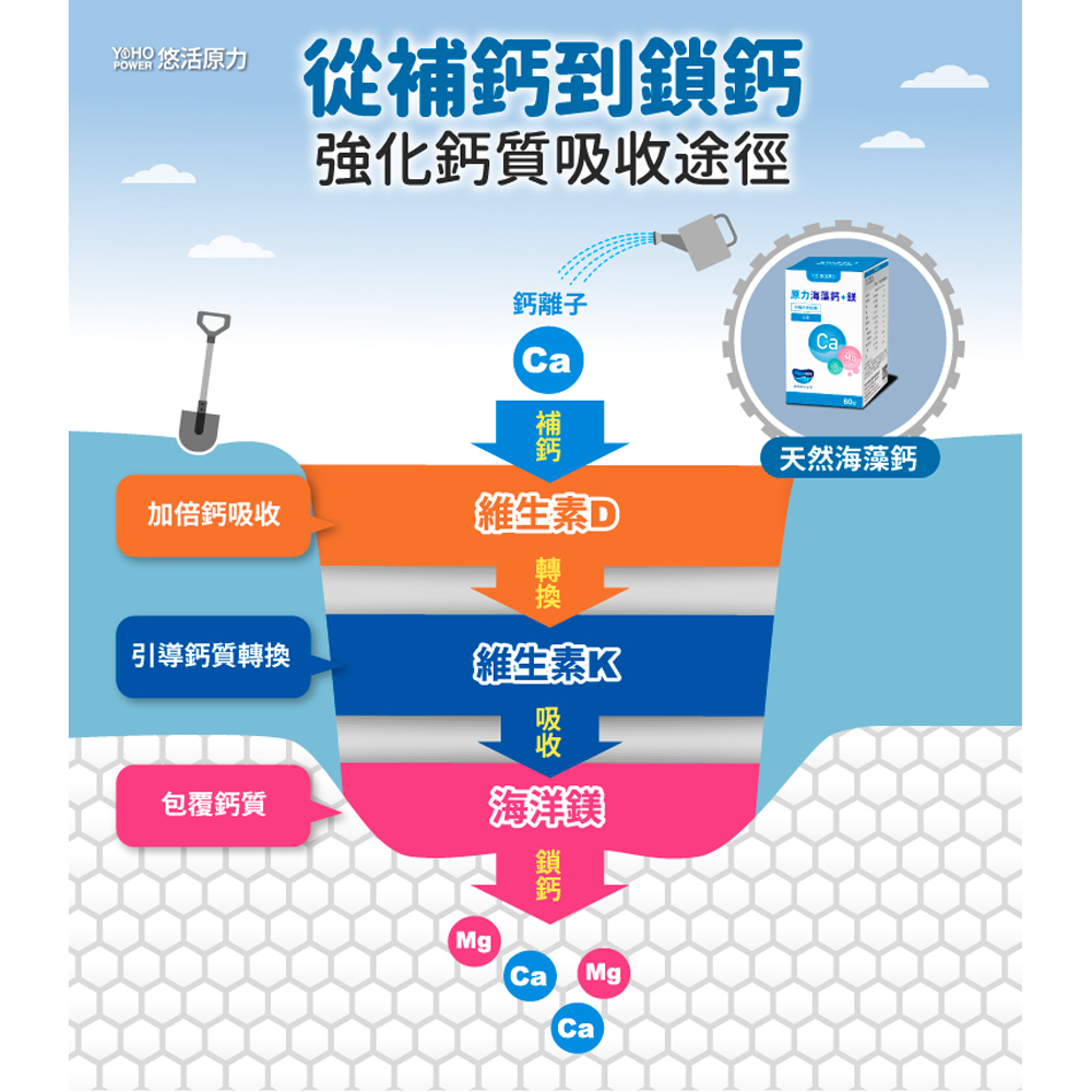 【菜霸子嚴選×歆鈺藥局】原力海藻鈣+鎂 錠劑 60粒