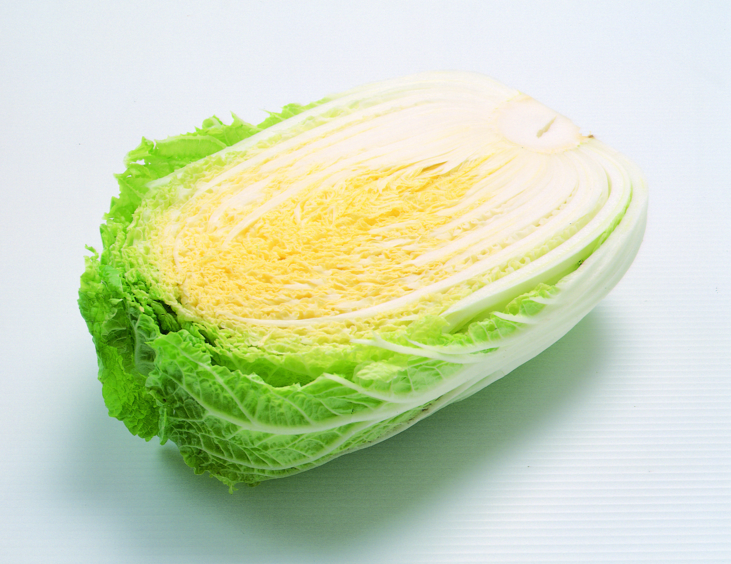 菜霸子嚴選大白菜 600g (±10%)/入 廠商直送