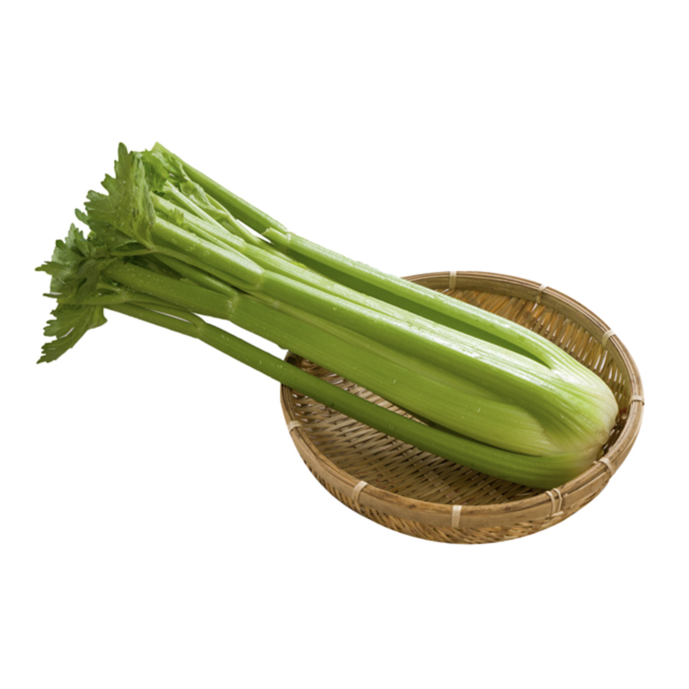 西洋芹菜6入組/箱