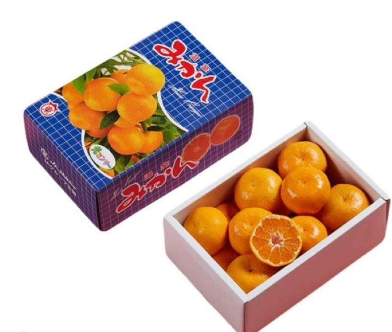 佐賀東蜜柑(1kg)